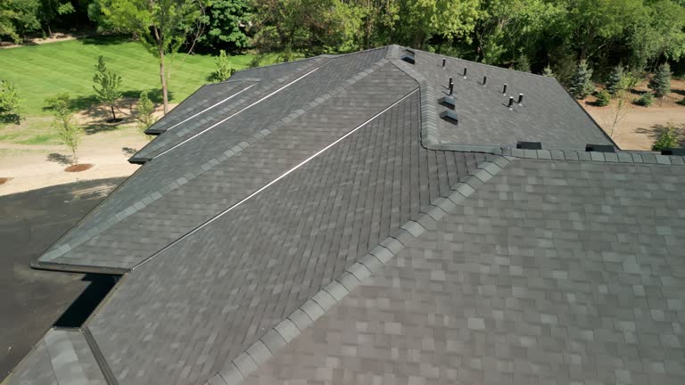 Best Solar Panel Roofing Installation  in Rantoul, IL